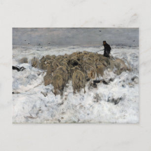 Anton Mauve Flock von Schafen mit Hirte Postkarte