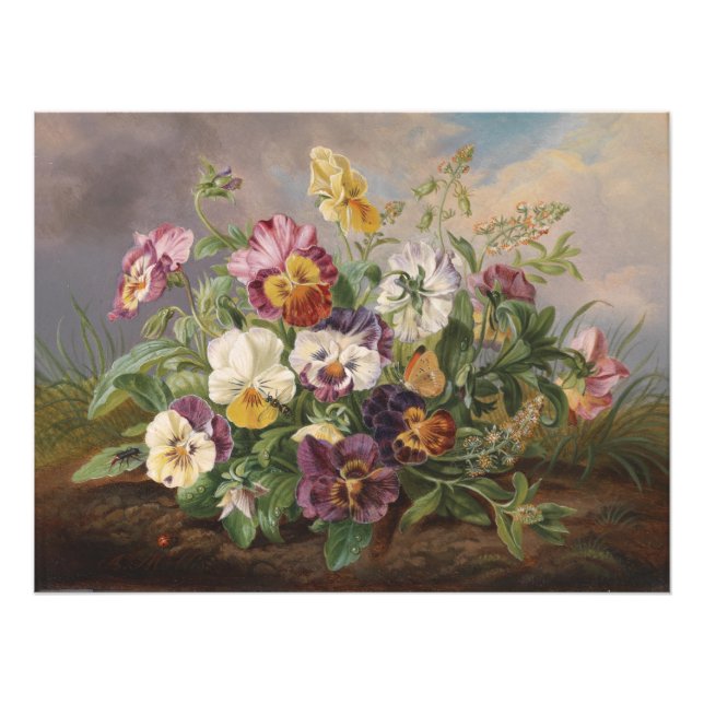 Anton Mollis Vintag Pansy Fotodruck (Vorne)