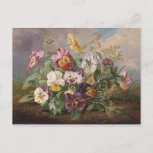 Anton Mollis Vintage Stiefmütterchen Postkarte