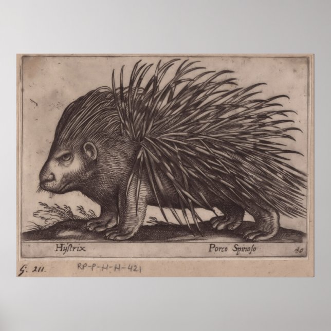 Antonio Tempesta - Stekelvarken - Porco Spinoso Poster (Vorne)