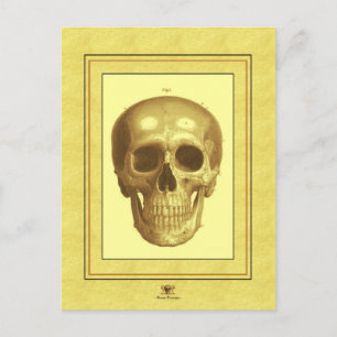 Antque Skull Postkarte