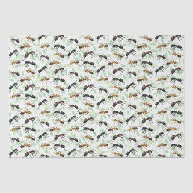 Ants Insects beugt Creepy Crawly Creatures Seidenpapier (Vorderseite)