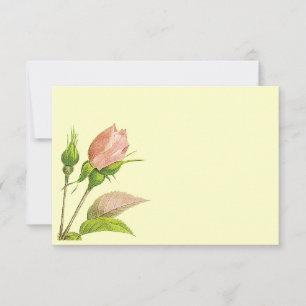 Antwortvorlage für rosa Rosenknospen-Einladung Einladung