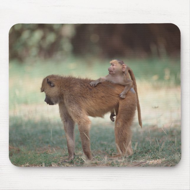 Anubis Baboon Mousepad (Vorne)
