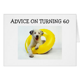 ANWEISUNG ZUR UMSTELLUNG "60"