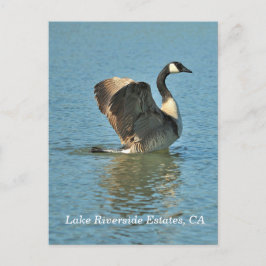 Anwesen am Lago Riverside, CA Postcard Postkarte