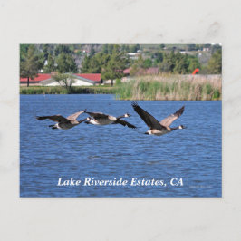 Anwesen am Lago Riverside, CA Postcard Postkarte