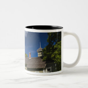 Anwesen-Gebäude in Michailovskoje Zweifarbige Tasse