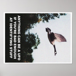 Anything can be a UFO (small) Poster