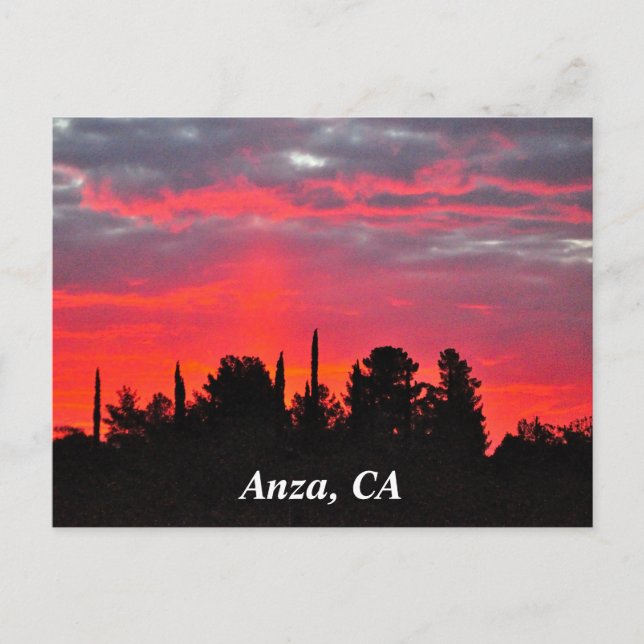 Anza, CA Postcard Postkarte (Vorderseite)