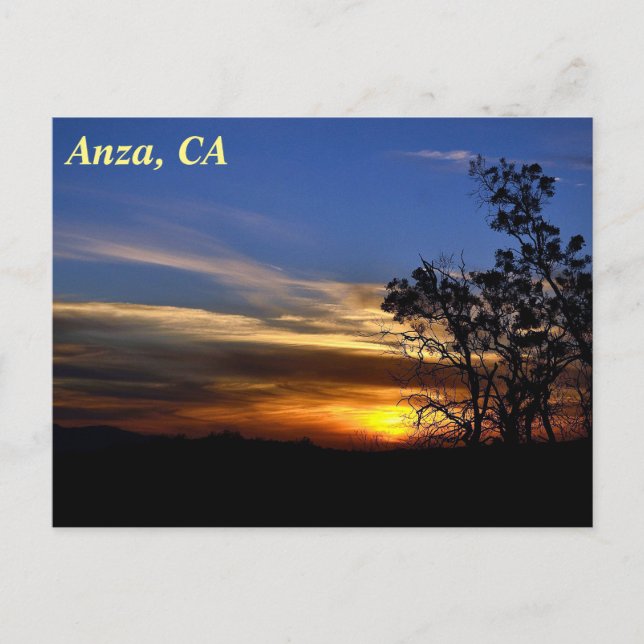Anza, CA Postcard Postkarte (Vorderseite)