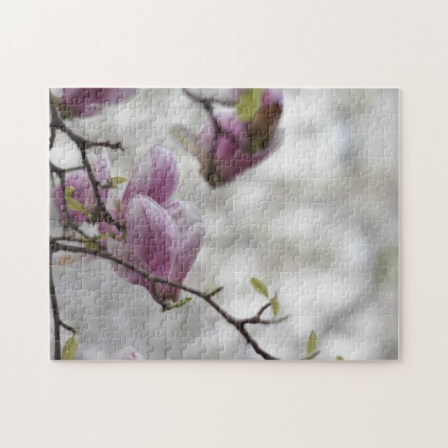 Anzeichen der Frühlingsrosa Kirschblossom Bäume Na (Horizontal)