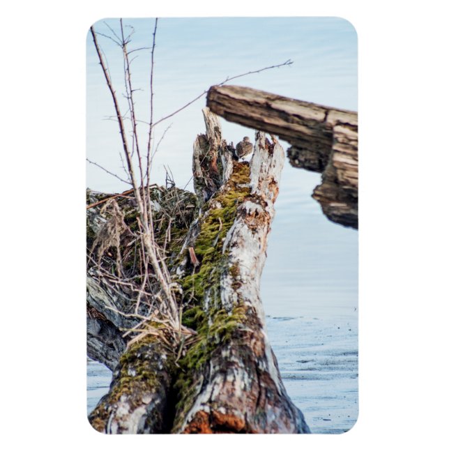 Anzeige Magnet (Vertikal)