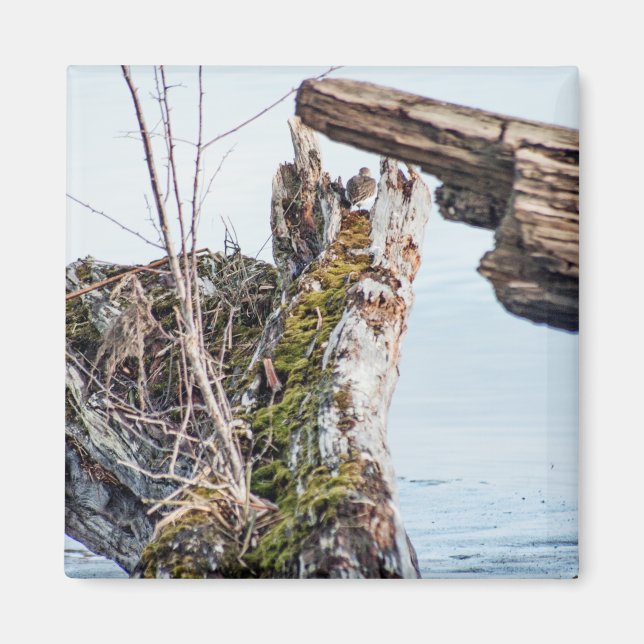 Anzeige Magnet (Vorne)