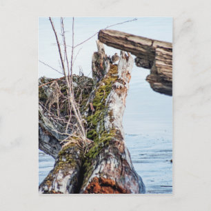 Anzeige Postkarte