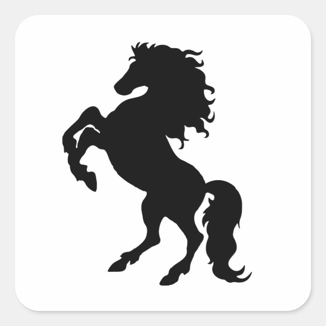 Anzuchten von schwarzem Hengst / Pferd Quadratischer Aufkleber (Vorderseite)