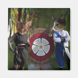 AOA-Verbindung Magnet