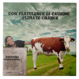 AOC-CLIMATE CHANGE* FLIESE