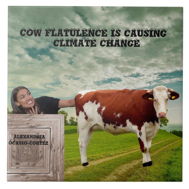 AOC-CLIMATE CHANGE* FLIESE (Vorderseite)