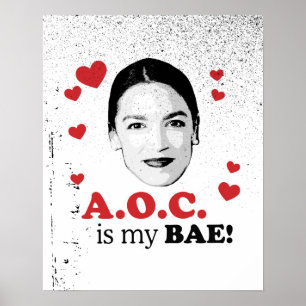 AOC ist meine BAE Poster
