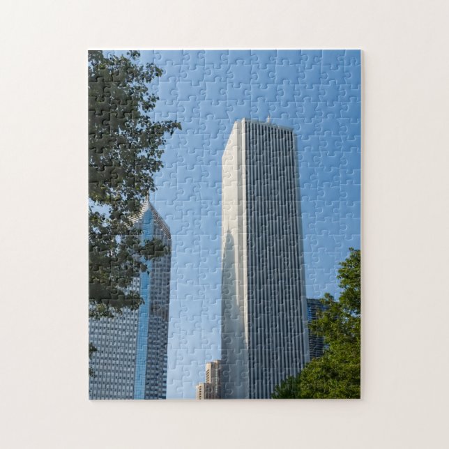 Aon Center Chicago (Vertikal)