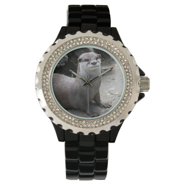 Aonyx cinerea armbanduhr (Vorderseite)