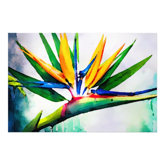 *~* AP10 Bird of Paradise Art Malerei #23 Fotodruck (Vorne)
