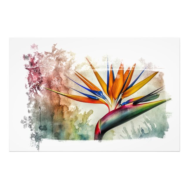 *~* AP10 Bird of Paradise Art Painting #18 Fotodruck (Vorne)