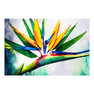 *~* AP10 Paradiesvogel Kunstmalerei #23 Fotodruck