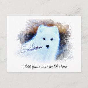 *~* AP18 Trwig Snow Fox White Fox Arctic Polar Postkarte