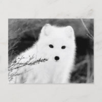 *~* AP18 Twig Fox White Snow Fox Arctic Polar