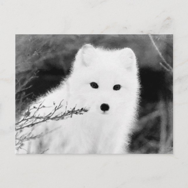 *~* AP18 Twig Fox White Snow Fox Arctic Polar Postkarte (Vorderseite)