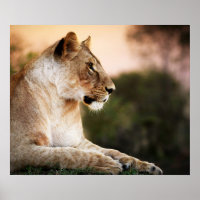 *~* AP23 Künstliche Aquarellfarbe Goldene LÖSUNG K