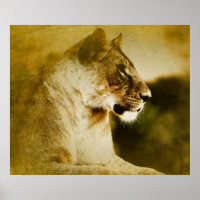 *~* AP23 Künstliche Aquarellfarbe Goldene LÖSUNG K