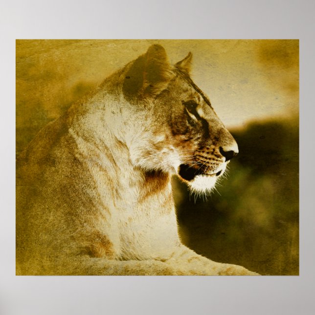 *~* AP23 Künstliche Aquarellfarbe Goldene LÖSUNG K Poster (Vorne)