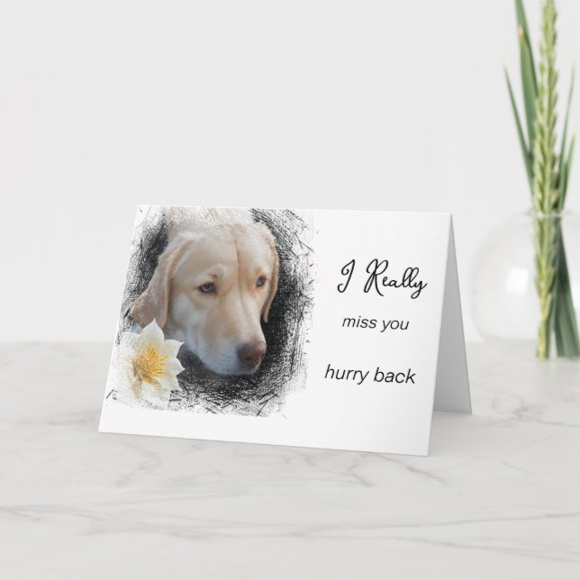 *~ AP61 Blume Miss You - Sad Dog Karte (Vorderseite)