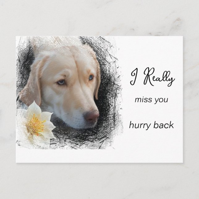 *~ AP61 Traurige Kurze Haar Hund Blume Miss You Postkarte (Vorderseite)