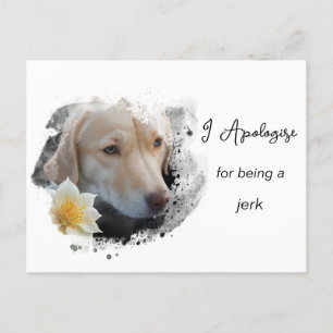 *~* AP61  Trauriger brauner Hund entschuldigt sich Postkarte