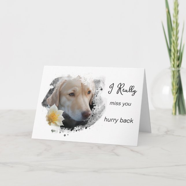 *~ AP61 Trauriger Labrador Rückreise Blume Miss Si Karte (Vorderseite)