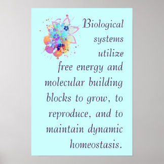 AP Biology Big Idea 2 Poster