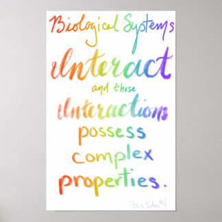 AP Biology Big Idea Vier Poster