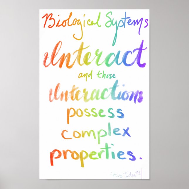 AP Biology Big Idea Vier Poster (Vorne)