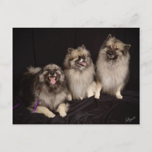 Apache raconte une carte postale de plaisanterie