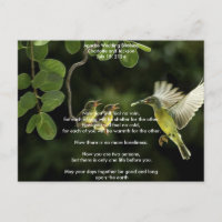 Apache Wedding Segen Mutter Hummingbird