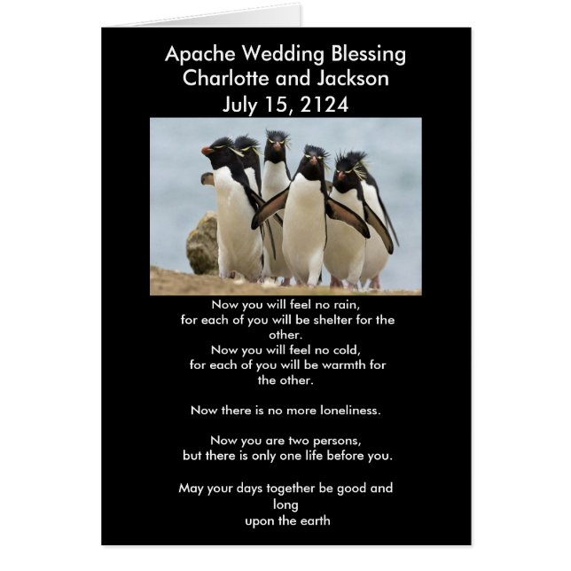 Apache Wedding Sessing Pinguine (Vorne)