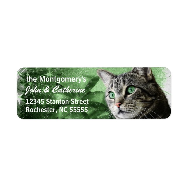 APAL - Silver Tabby Cat mit saisonaler Green (Vorne)