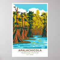 Apalachicola National Forest Baldcypress Tree
