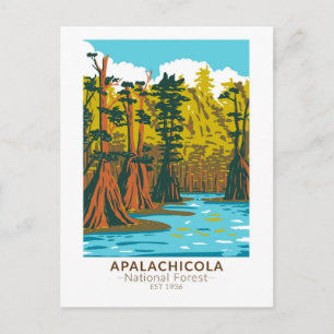 Apalachicola National Forest Sumpfzypresse Postkarte