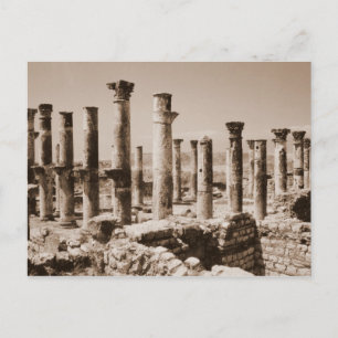 Apamea Postkarte