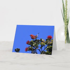 "Apapane Small Red Bird Karte